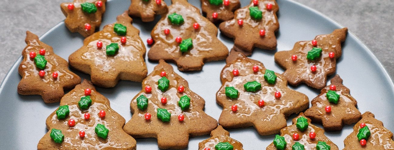 BOLACHAS DE CANELA E GENGIBRE VEGAN