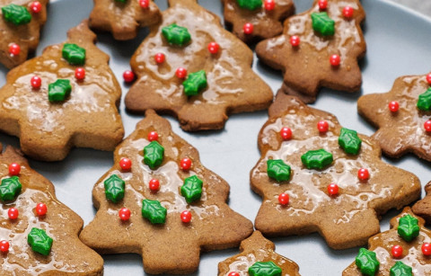 BOLACHAS DE CANELA E GENGIBRE VEGAN