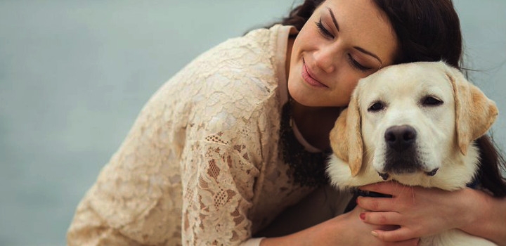 Campanha de angariação de alimentos para os animais